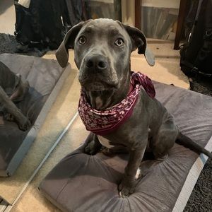 Meet your Posher, Hailey